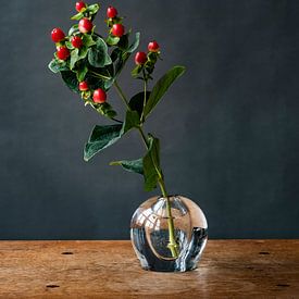 Foto | Zweig mit roten Beeren | botanisch | modernes Stillleben von Jenneke Boeijink