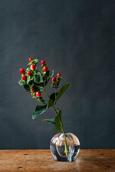 Foto | tak met rode bessen | botanisch | modern stilleven van Jenneke Boeijink