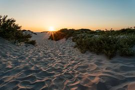 Hoek van Holland von Luc Buthker