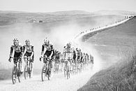 Strade Bianche 2025 von Leon van Bon Miniaturansicht