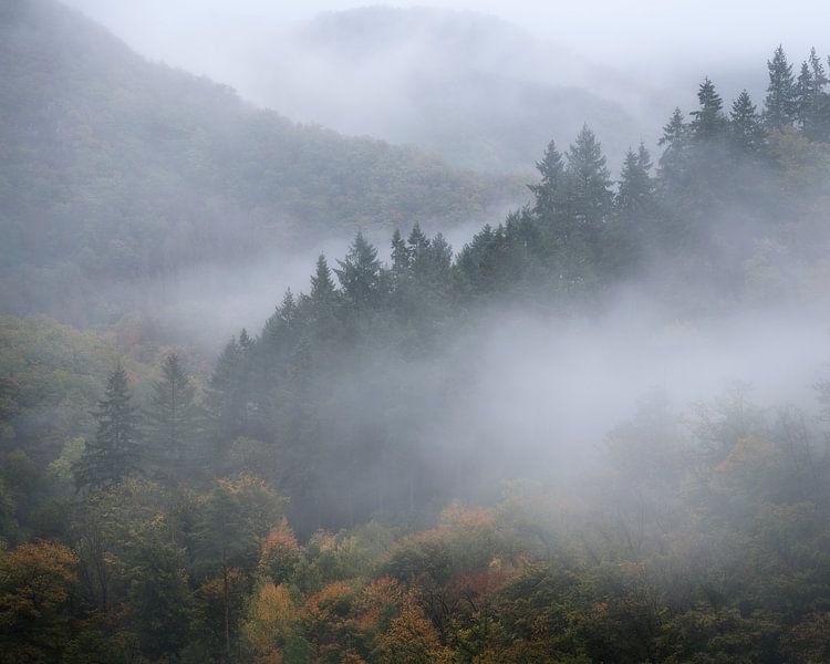 Kiefern im Nebel um die Burg Eltz an einem regnerischen Herbsttag in Deutschland. von Jos Pannekoek