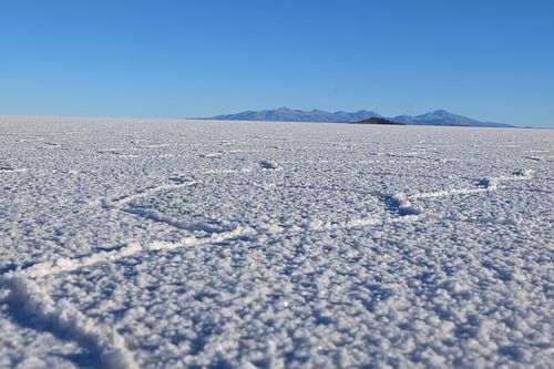 salar de uyuni (zoutvlaktes) saltflags