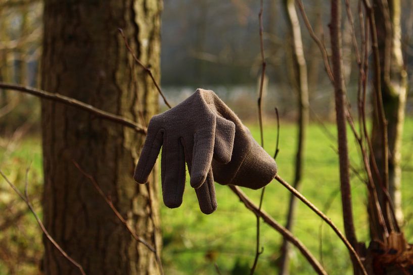 Handschoen.  by Rob Klaucke