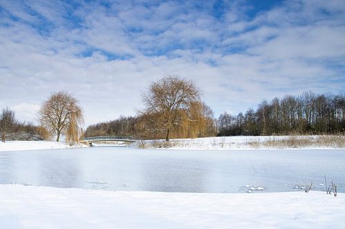 Winterlandschap in de polder