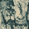 Abstract Retro Botanical. Grasses, flowers and leaves in blue gray and white by Dina Dankers