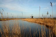 Hollands landschap von Jelle Ursem Miniaturansicht