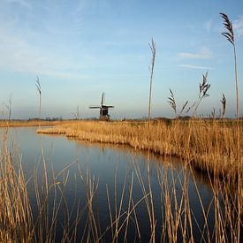 Hollands landschap sur Jelle Ursem