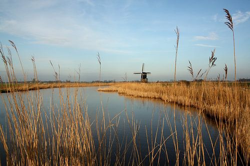 Hollands landschap van Jelle Ursem