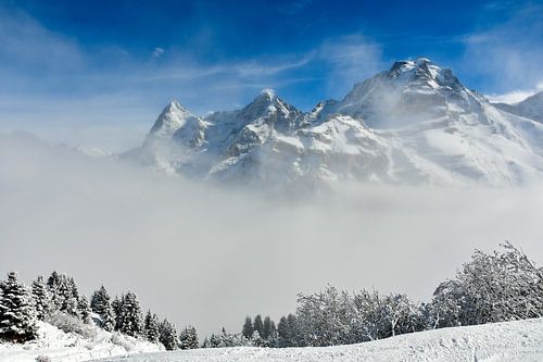 Eiger Monch and Jungfrau in the mist by Bettina Schnittert