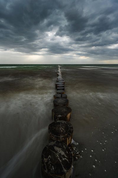 Hiddensee van Robin Oelschlegel