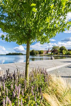 EUTIN Seepark, Großer Eutiner See von Melanie Viola