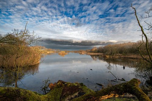 Morgendämmerung in den Dünen