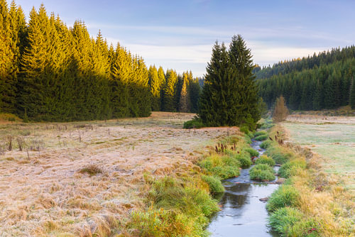 Morning light in the Ore Mountains valley