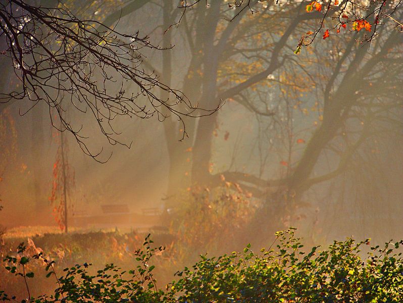 lumière sur par Edgar Schermaul