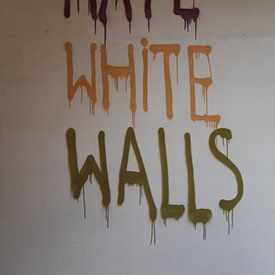 I hate white walls von Jeroen De Ruddere