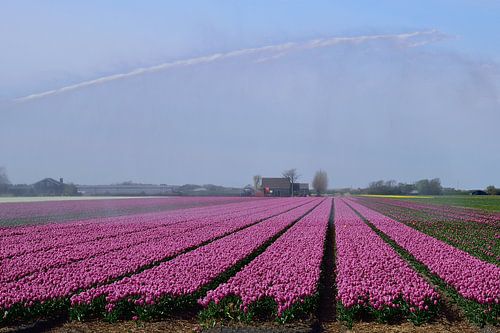Achter een gordijn van water