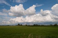 Wolken van Alexander van der Sar thumbnail