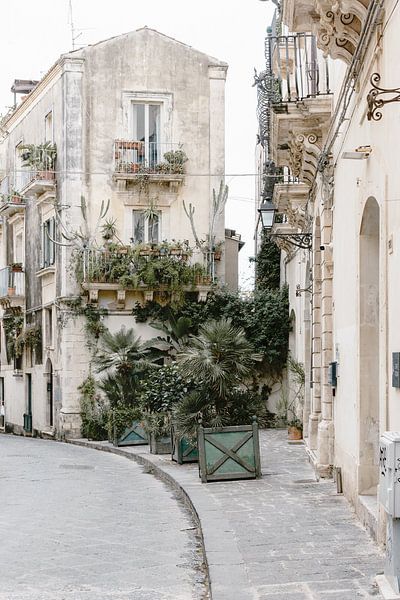 Een botanisch straatbeeld in Italië van Photolovers reisfotografie
