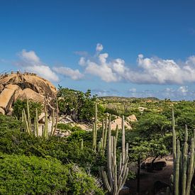 Casibari Felsformationen Aruba von Harold van den Hurk