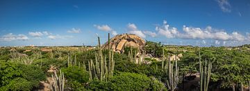 Casibari Rock Formations Aruba van Harold van den Hurk