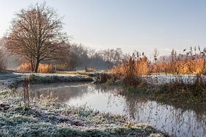 Bevroren Klotputten