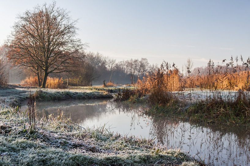 Bevroren Klotputten van Jasper Scheffers