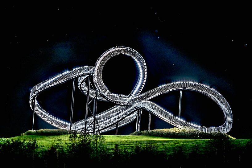 Tiger &amp; Turtle par Christian Borgert