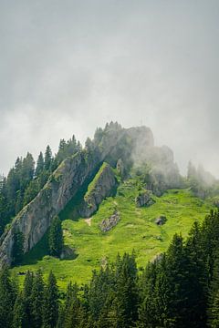 Steineberg of the Nagelfluhkette in summer with low clouds by Leo Schindzielorz