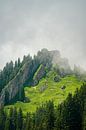 Steineberg of the Nagelfluhkette in summer with low clouds by Leo Schindzielorz thumbnail