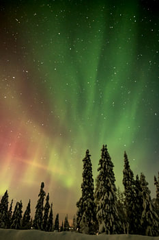 Winter Aurora Borealis