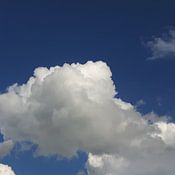 Janet Vink Profile picture