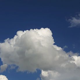 Janet Vink Profile picture