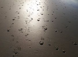 Ich kann einfach nicht genug vom Strand bekommen von Hans Heemsbergen