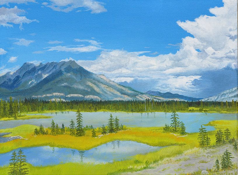 Rivière Jasper, Icefields Parkway, Canada. peinture acrylique de Marlies Huijzer par Martin Stevens