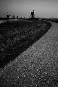 Windmühlen in Kinderdijk in schwarz-weiß von Jeroen Stel