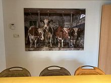 Klantfoto: Koeien in oude koeienstal van Inge Jansen, op canvas