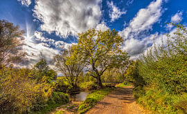 Autumn in Cottessen in South Limburg by John Kreukniet