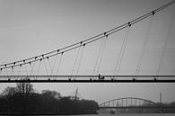Wandelend op de Dafne Schippersbrug in Utrecht van André Blom Fotografie Utrecht thumbnail