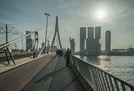 Erasmusbrug, Rotterdam van Daan Overkleeft thumbnail
