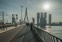 Erasmusbrug, Rotterdam