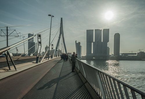 Erasmusbrug, Rotterdam