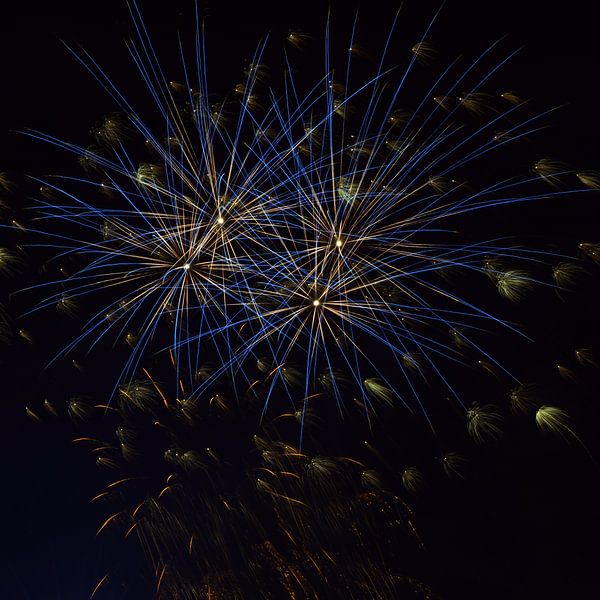 Fireworks by Alphapics