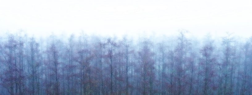 Winter panorama by BHotography