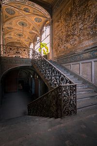 Escaliers dans une villa abandonnée sur Dafne Op 't Eijnde