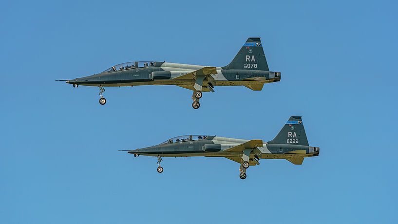 Zwei Schiffe der U.S. Air Force Northrop T-38 Talon. von Jaap van den Berg