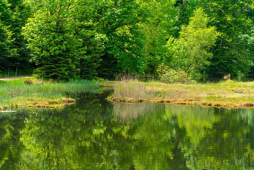 Nonnenmattweiher in Duitsland