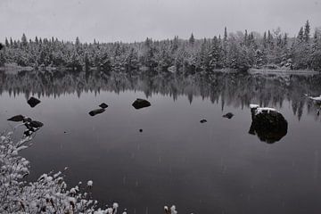 De eerste sneeuw op het meer in de winter van Claude Laprise