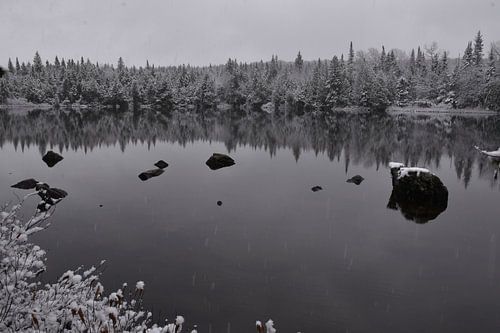 La première neige sur le lac en hiver