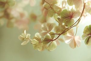 Blumen Weiches Pastellgrün mit Licht und Unschärfe