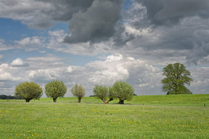 Langs De IJssel